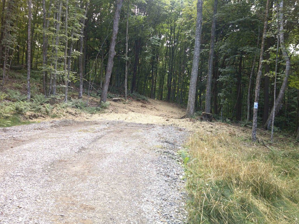 Picture 8