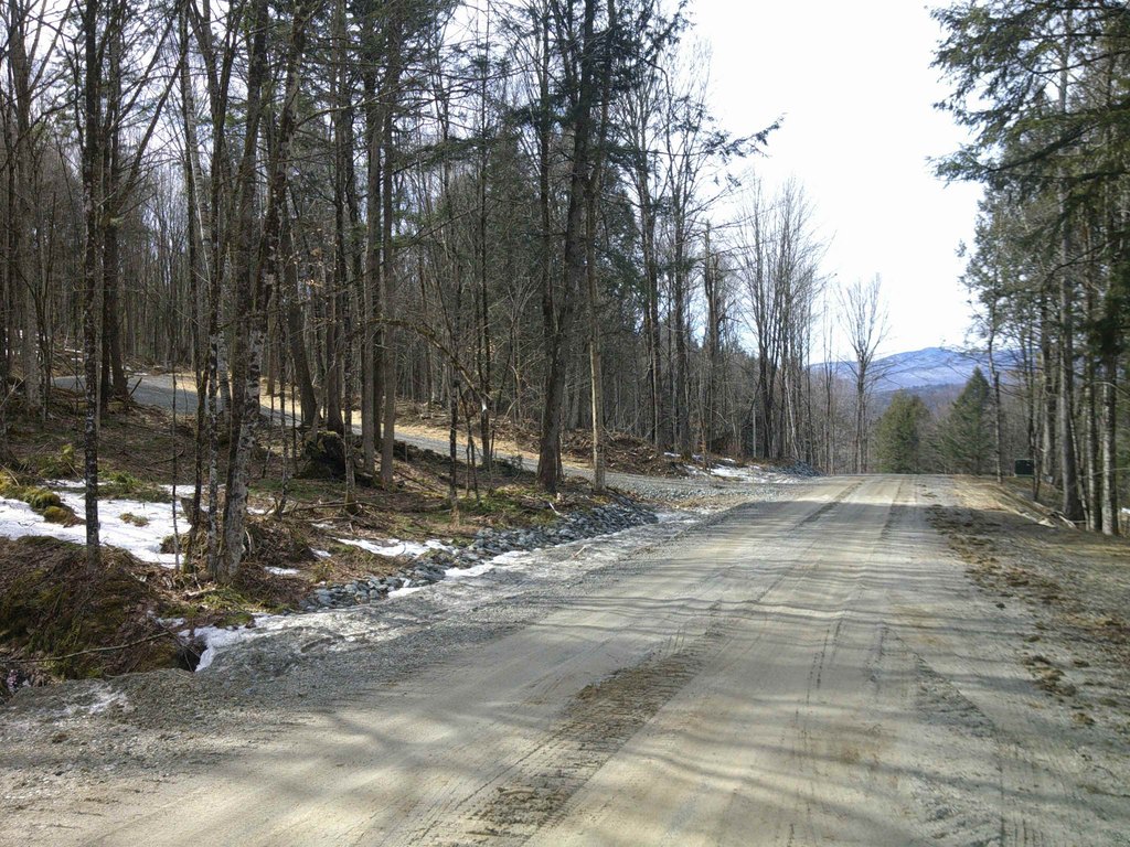 Picture 33
