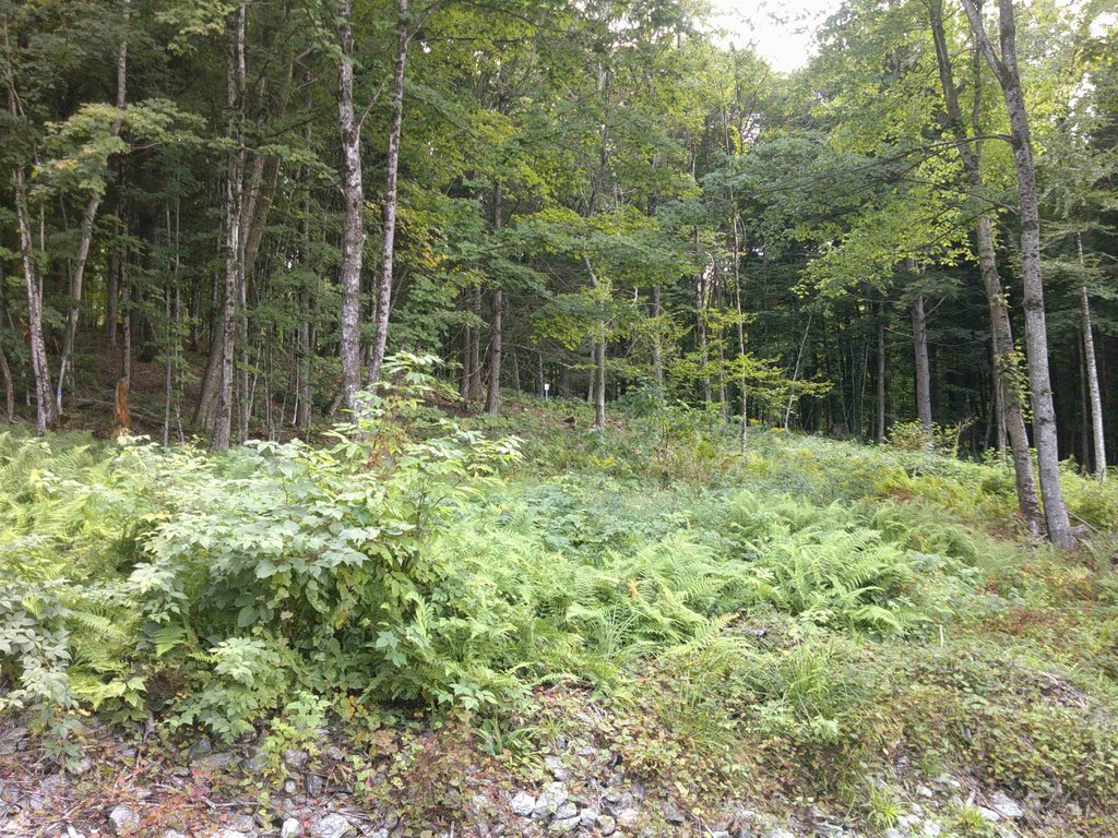 Picture 11