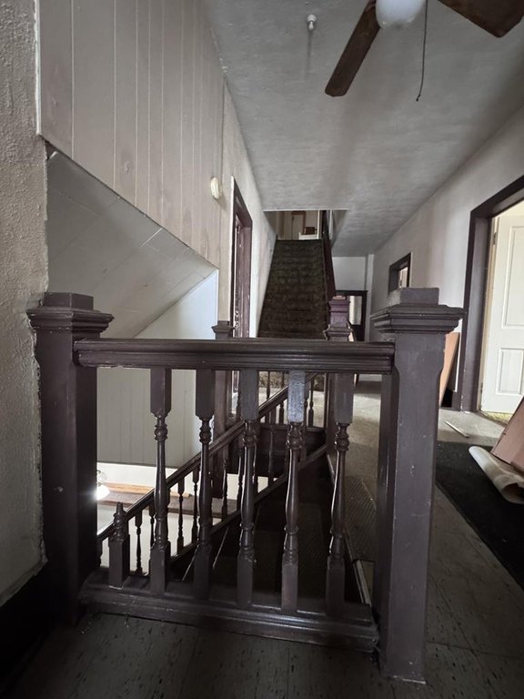 Picture 38