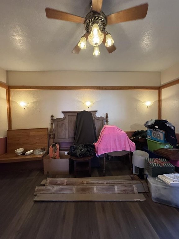 Picture 16