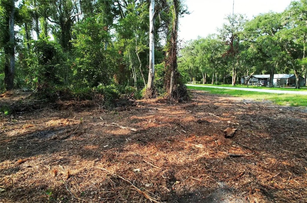 Picture 3