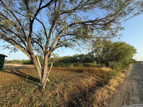 Land, Atascosa, TX