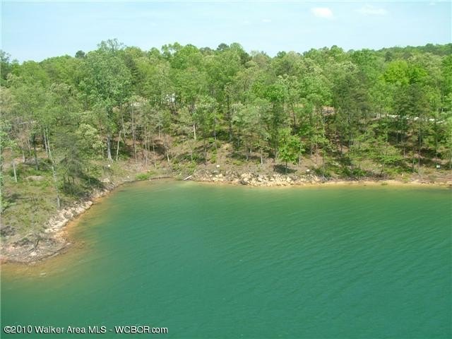 Arley, AL Land For Sale