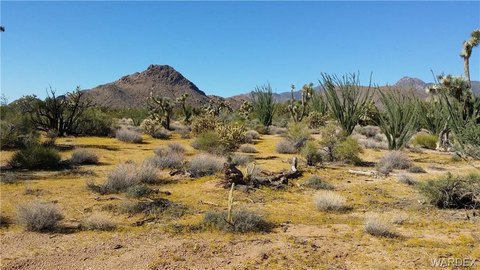 Land, Yucca, AZ