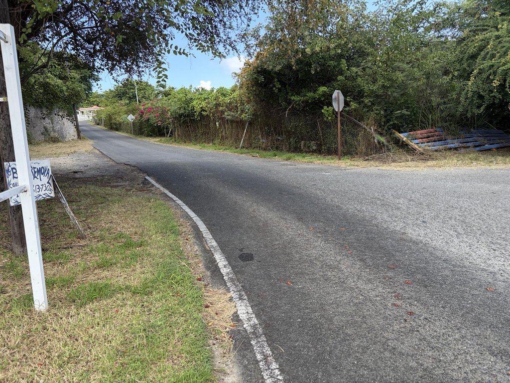 Picture 4