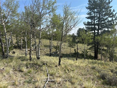 Land, Hartsel, CO