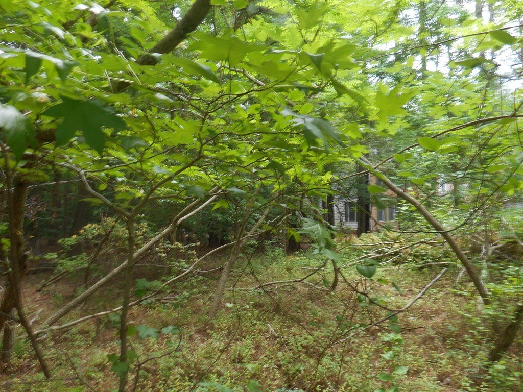 Picture 3