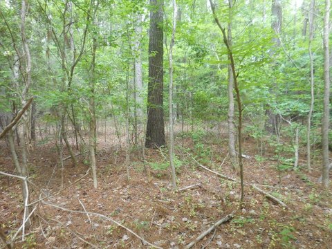 Residential Lot in Upscale Neighborhood