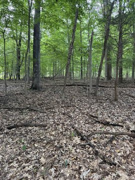 LOTS AND LAND, Bloomington, IN
