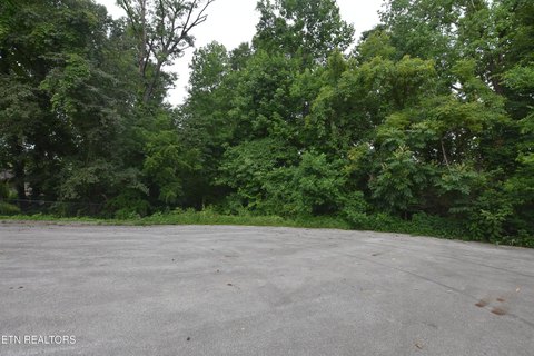 Wooded Cul-de-Sac Building Lot