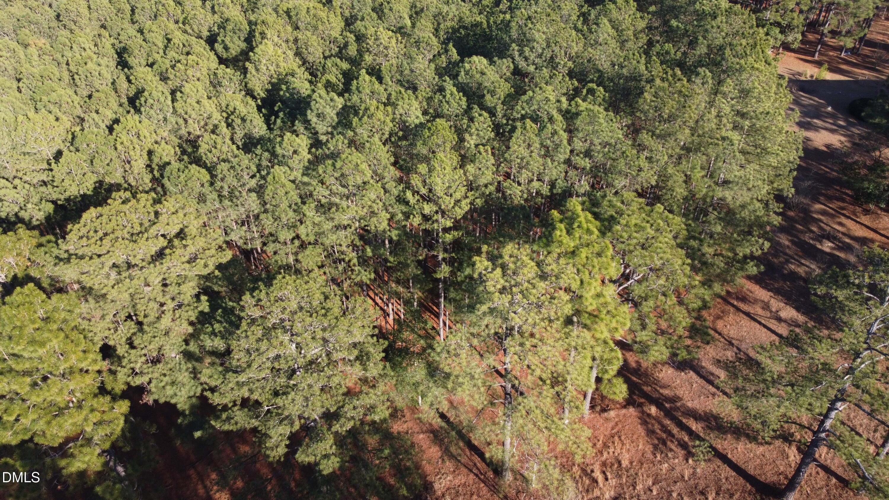Residential Land in Lillington, NC