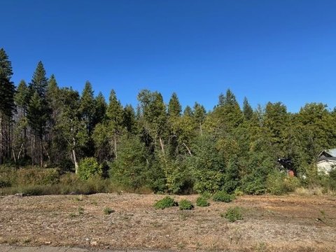 Greenville Vacant Lot Opportunity