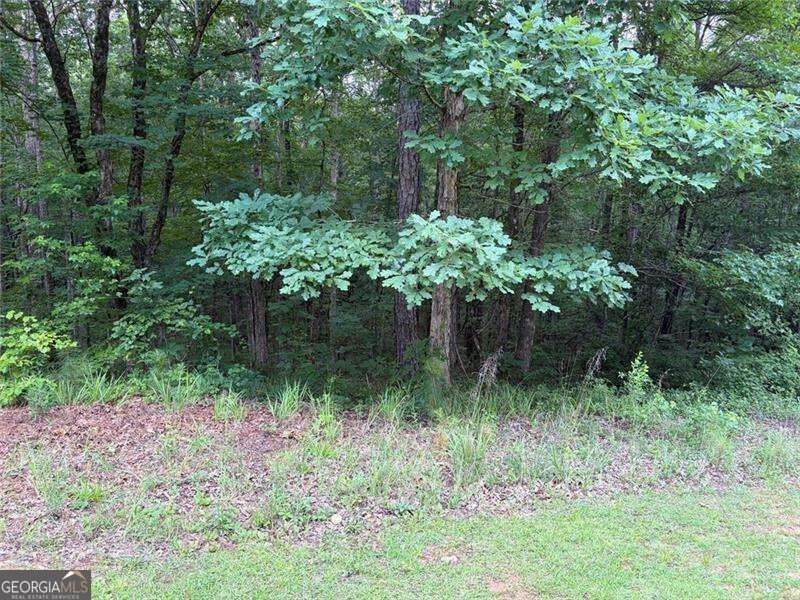 Picture 23