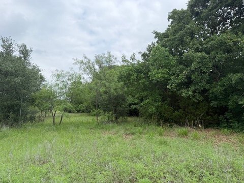 Corner Lot with Mature Trees