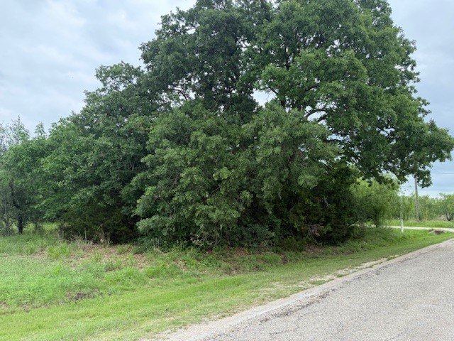 Picture 3