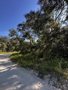 Land, Old Town, FL