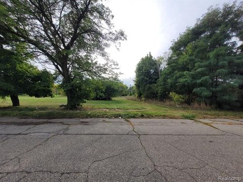 Residential Lot Near Downtown Detroit
