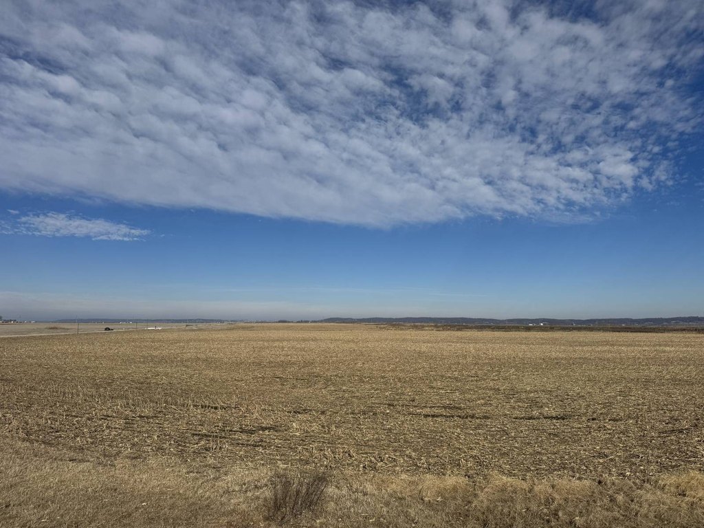 Picture 48