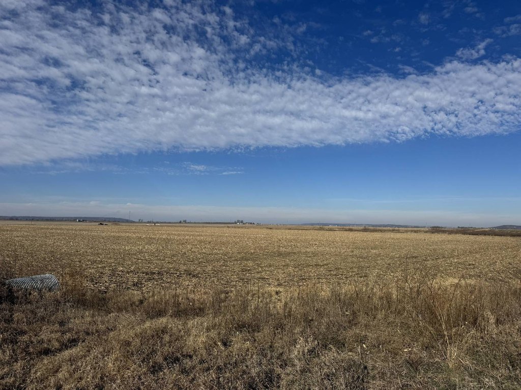 Picture 27