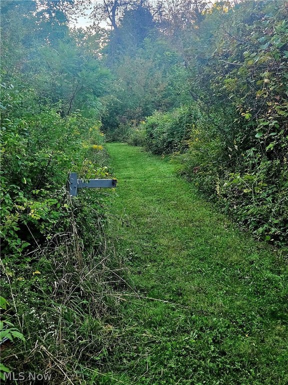 Picture 5