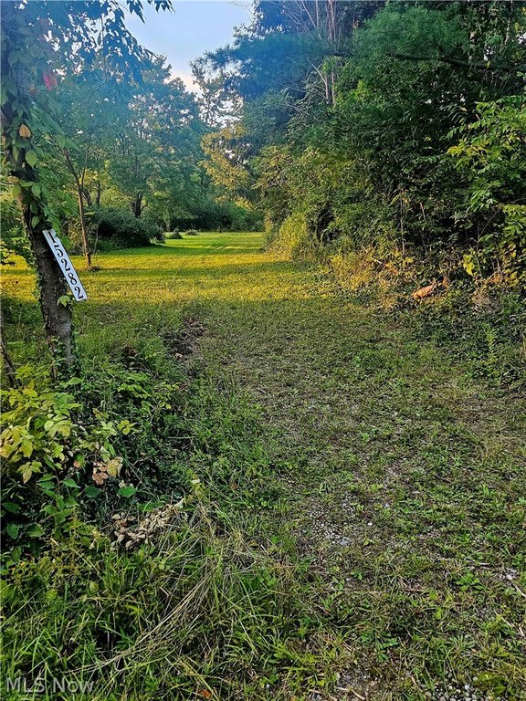 Picture 8