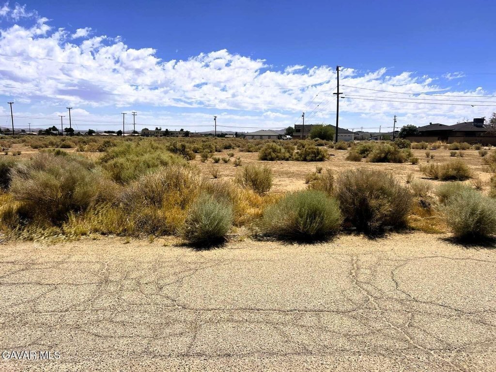 Picture 9