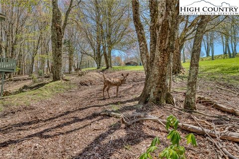 Beech Mountain Golf Course Lot