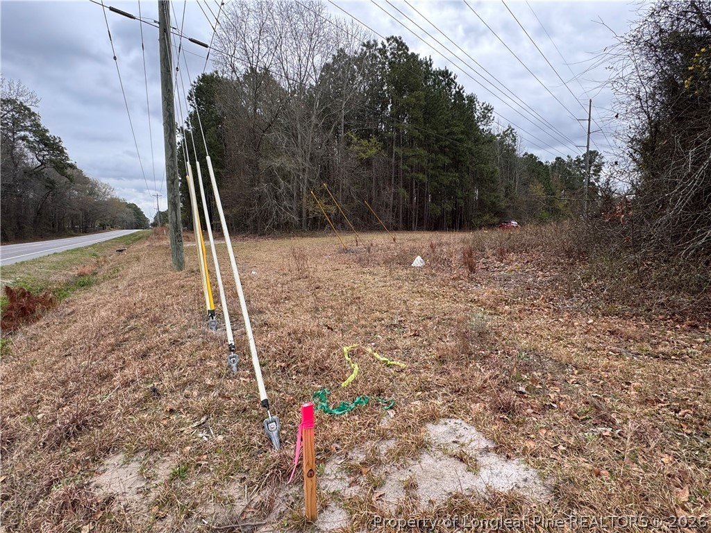 Parkton, NC Wooded Land