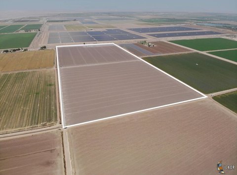 Farmland in El Centro, CA