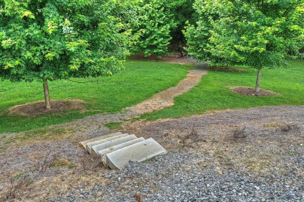 Picture 45