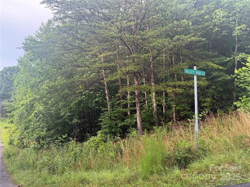 Picture 21
