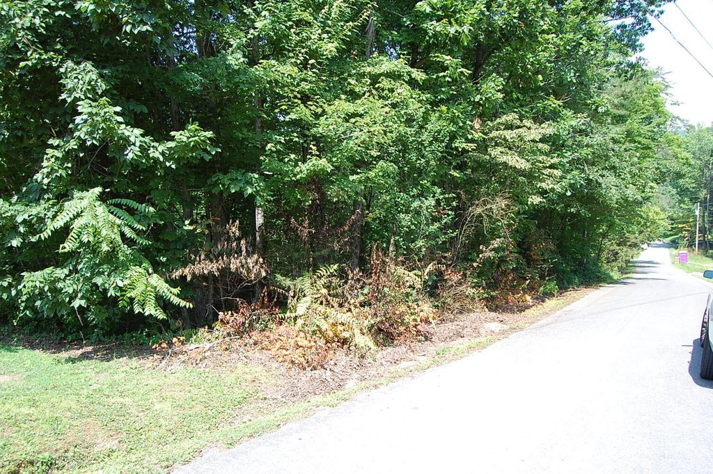 Picture 3