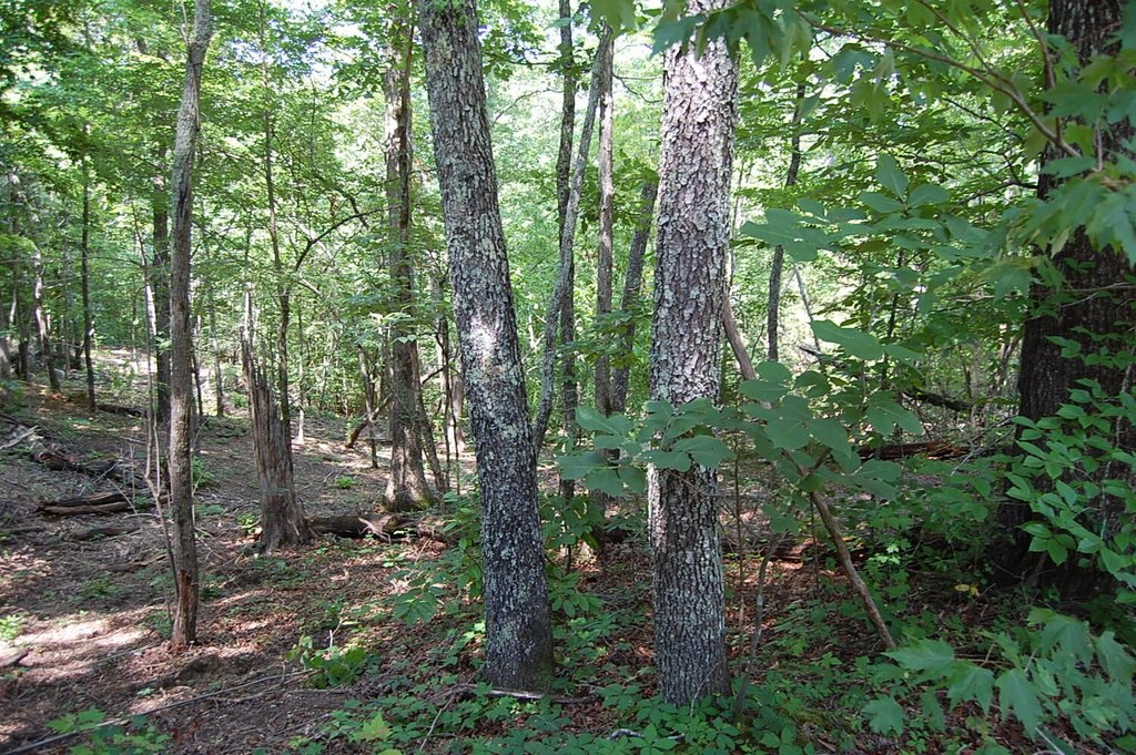 Picture 7