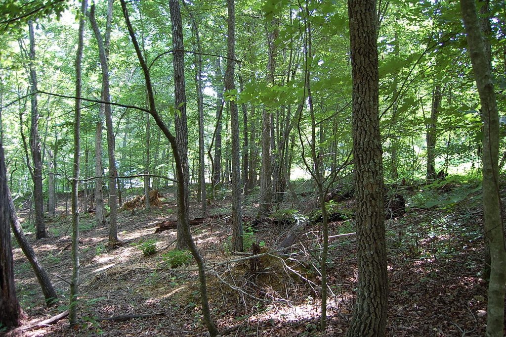 Picture 17