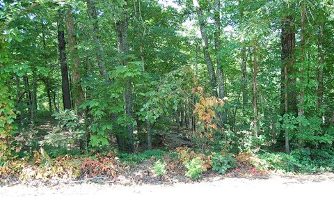 LAND - Dunlap, TN