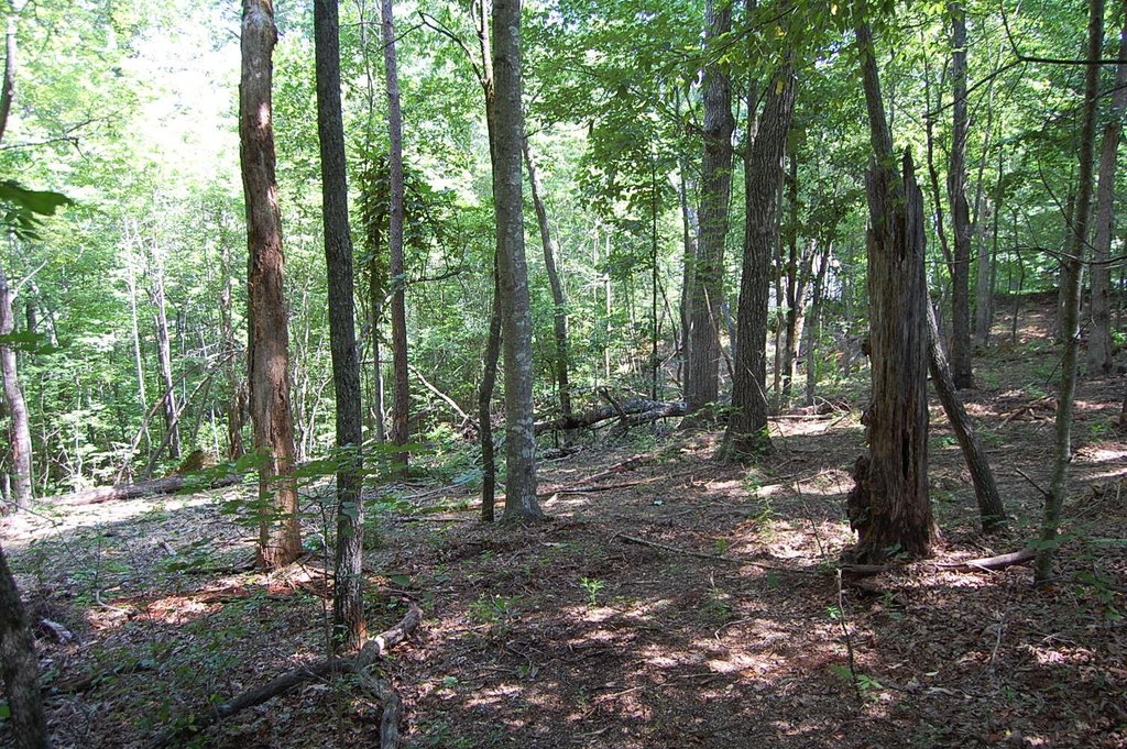Picture 16
