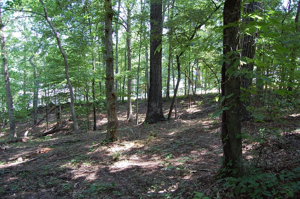 Picture 14