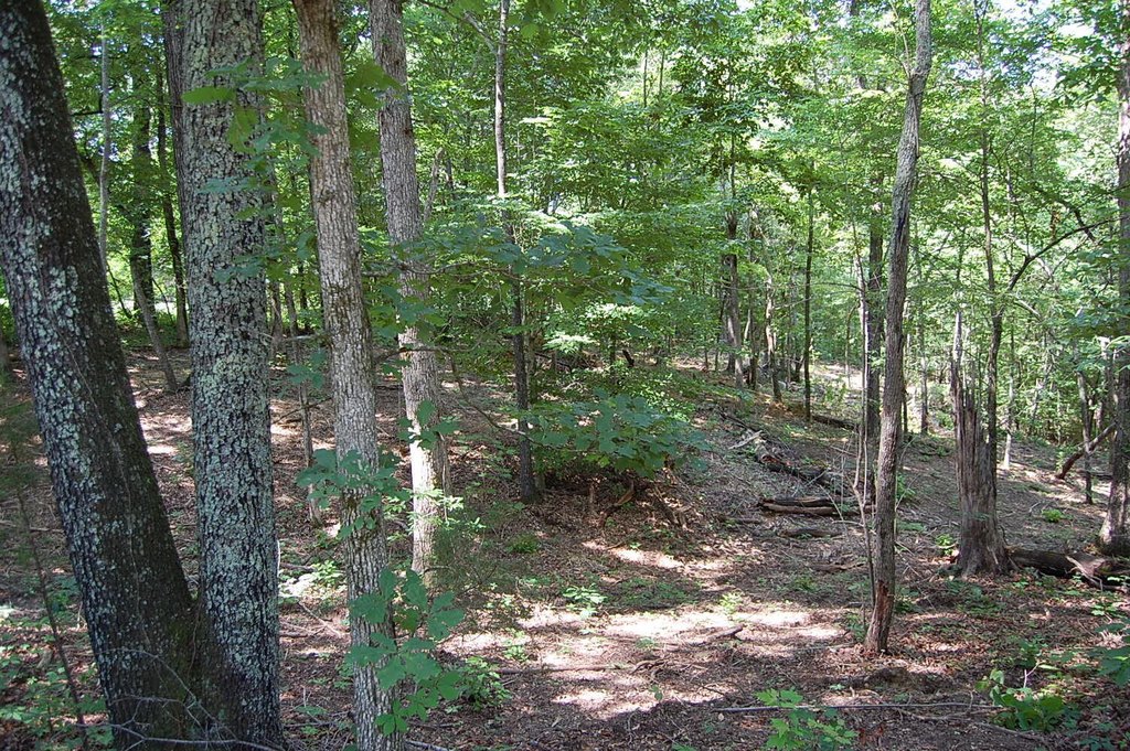Picture 6