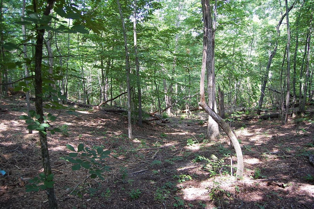 Picture 9