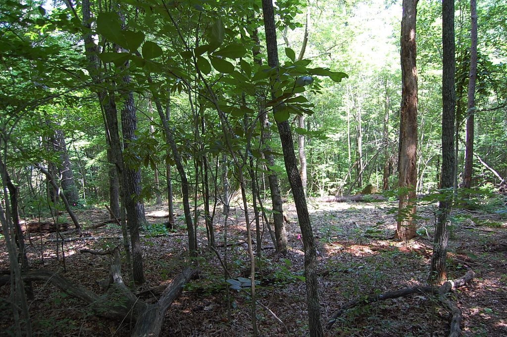 Picture 15