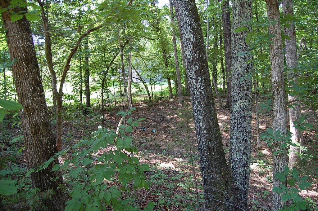 Picture 5