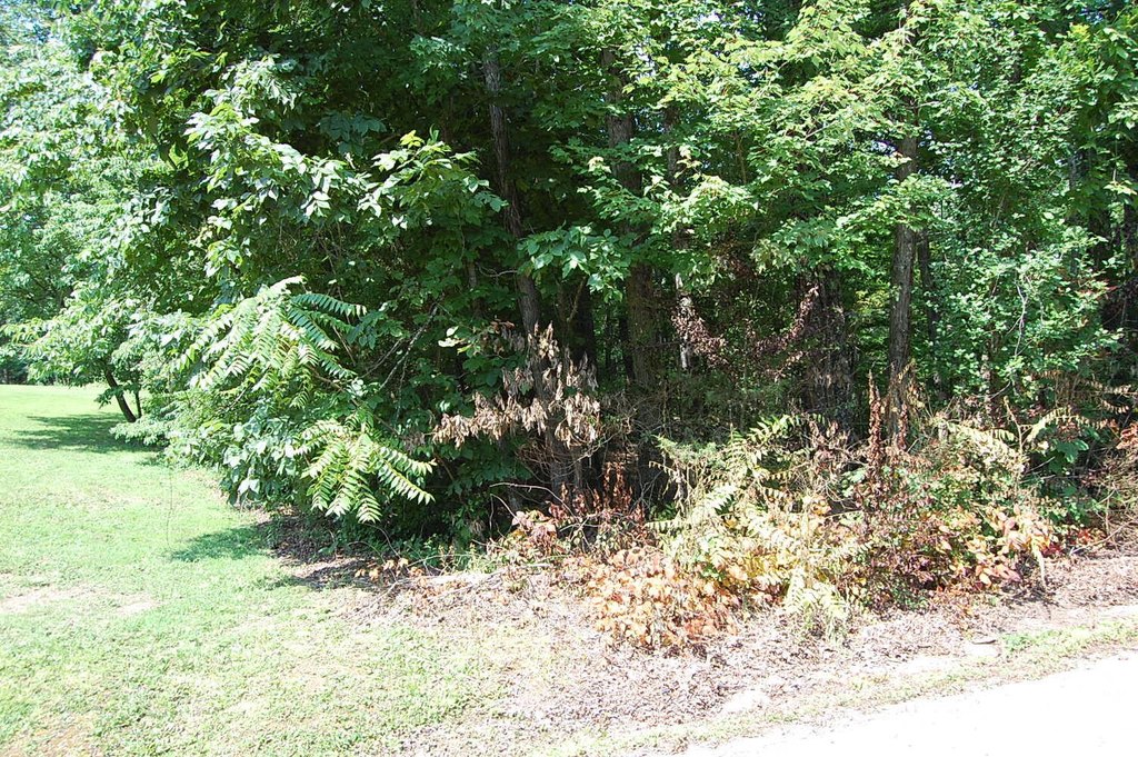 Picture 2
