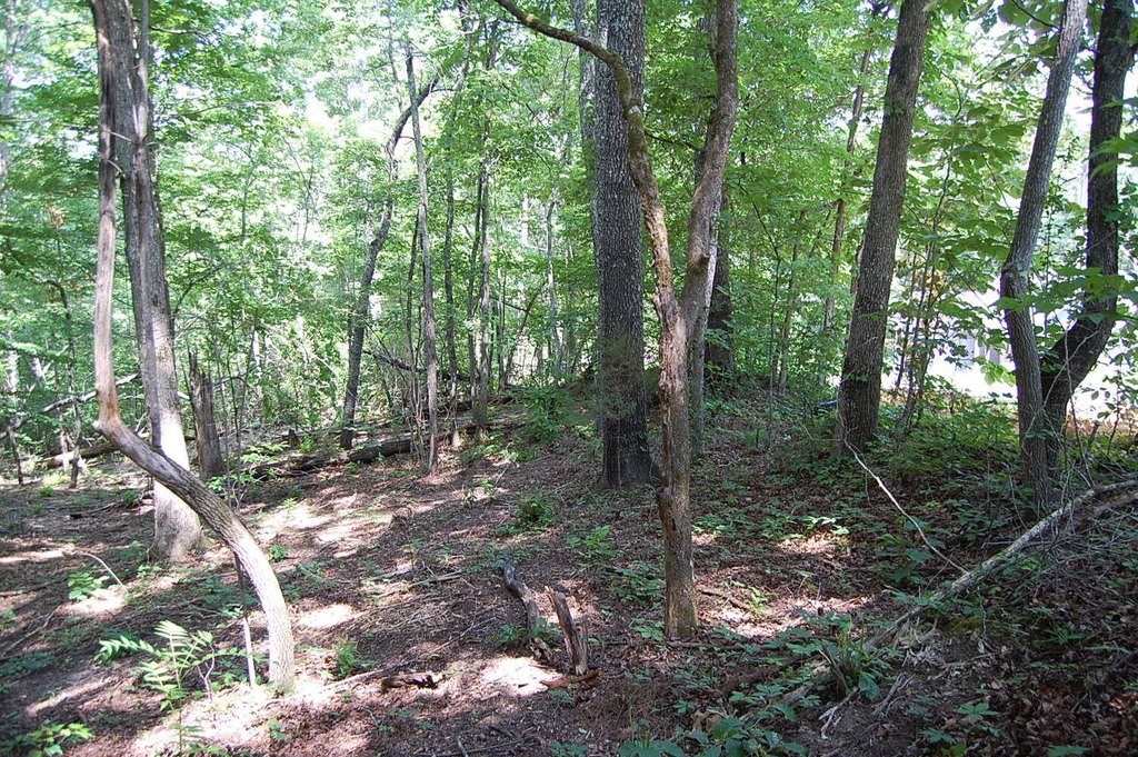 Picture 10
