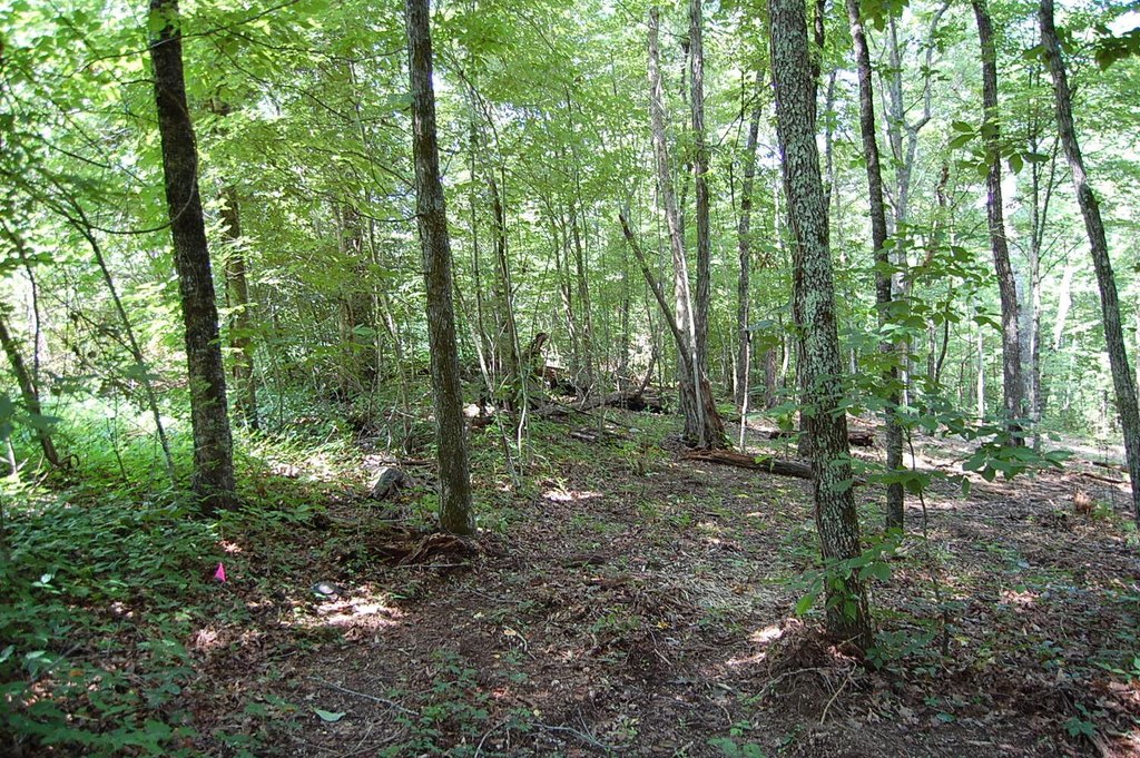 Picture 11