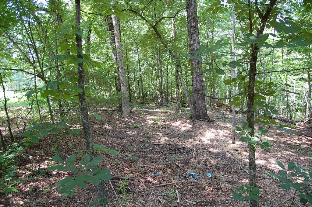 Picture 8