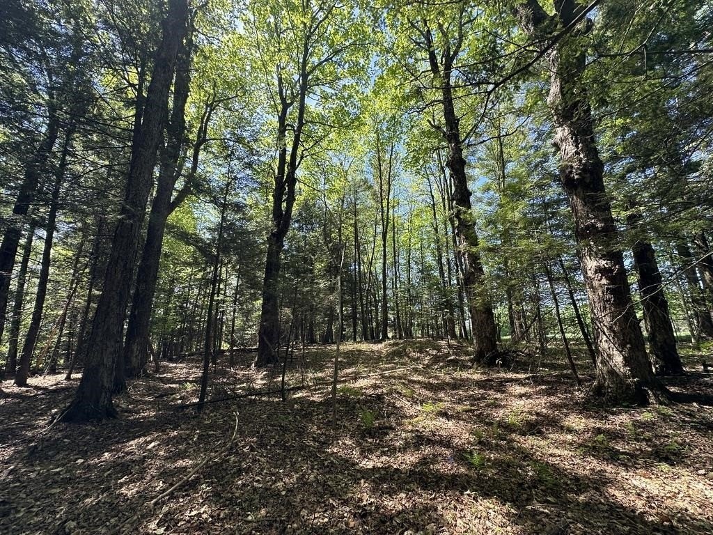 Picture 33