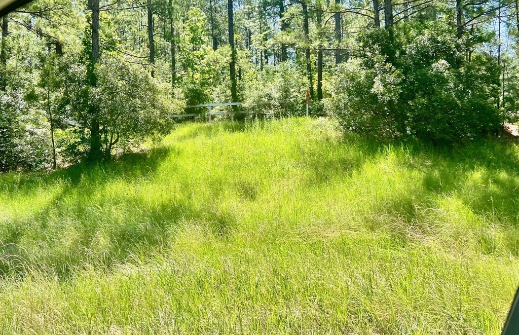 Picture 3