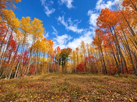 Land, Solon Springs, WI