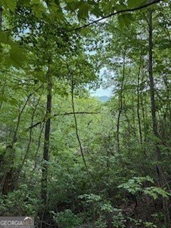 Land with Views in Dillard